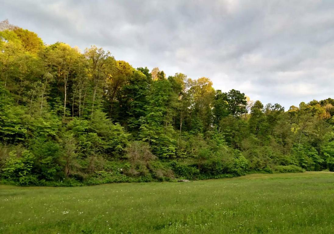 Stella Altenbrauch Farm - Camping In The Hocking Hills酒店 外观 照片