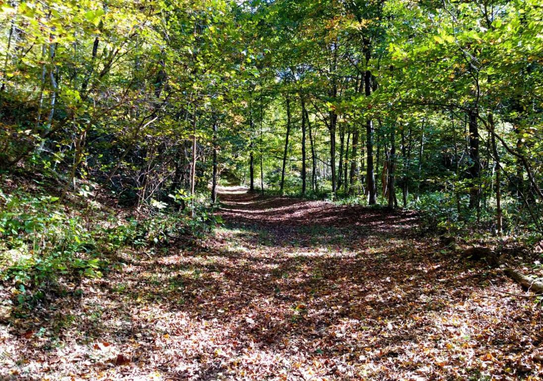 Altenbrauch Farm - Camping In The Hocking Hills Stella 外观 照片